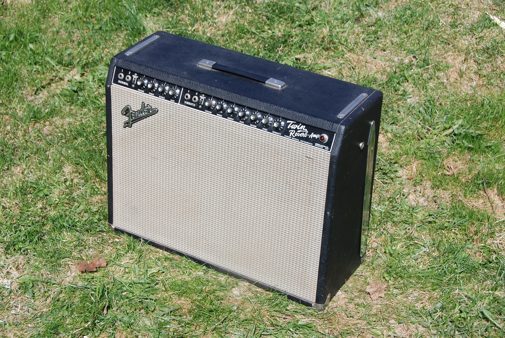 Fender dual online reverb amp